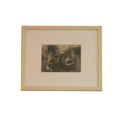 Fotografía en blanco y negro de dos pirañas de Kurt Severin