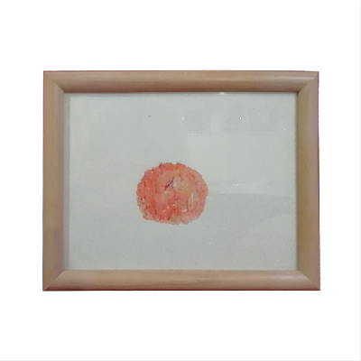 Pilar Pedroza. Sin título (Círculo rojo). Collage y acuarela sobre papel algodón