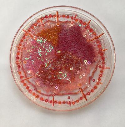 Pilar Pedroza. Estrella de Carbono.