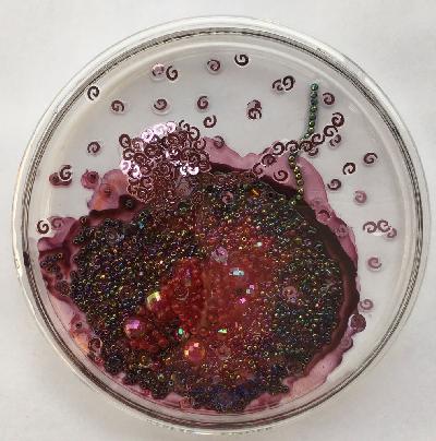 Pilar Pedroza. Conteo Bacteriano 2. 