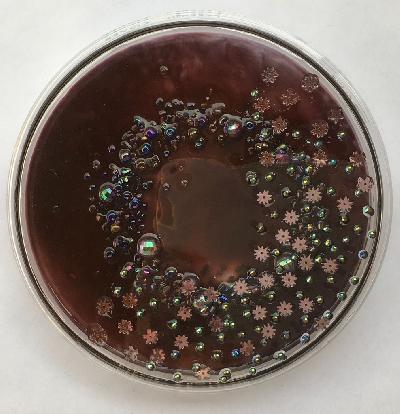 Pilar Pedroza. Muestra de Abismo 2.