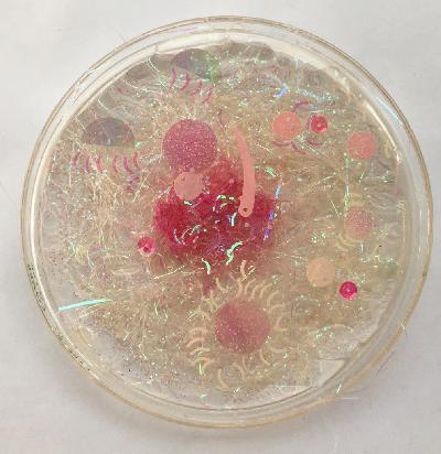 Pilar Pedroza. Teoría de Cuerdas.