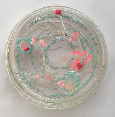 Pilar Pedroza. Comportamiento Ondulatorio.