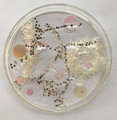 Pilar Pedroza. Desintegración.