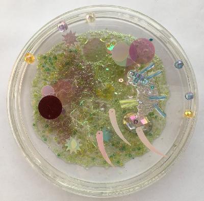 Pilar Pedroza. Muestra de suelo marino.